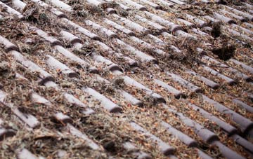 Gamlingay Great Heath roof cleaning companies