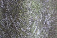 Gamlingay Great Heath fibreglass roof work